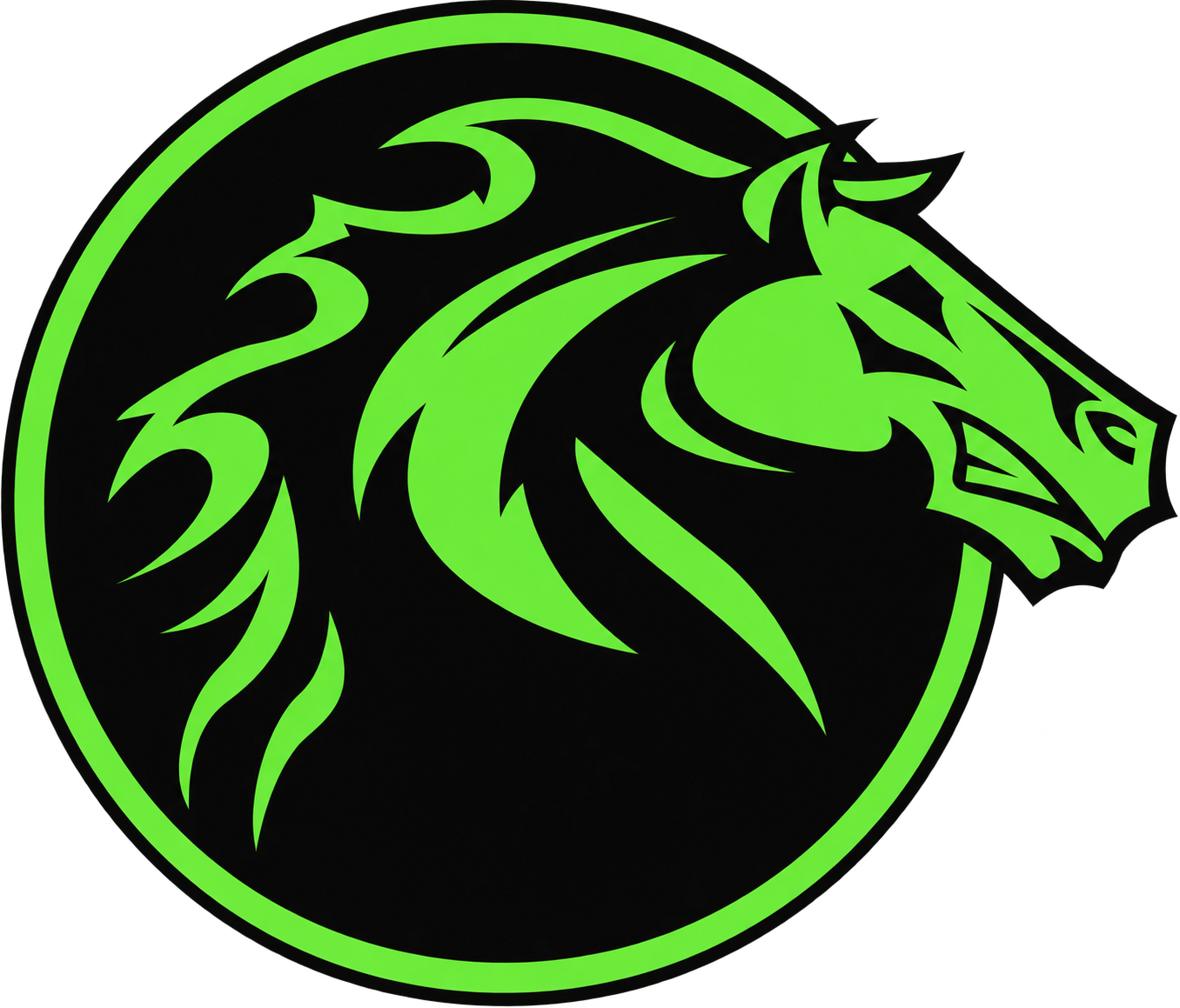 CFSYV horse logo